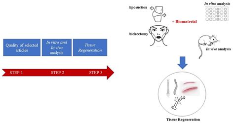 Biomaterials and Adipose-Derived Mesenchymal Stem Cells for ...