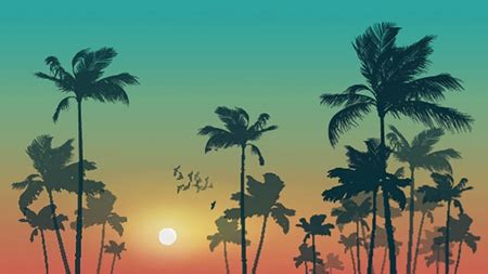 Image result for Android Developer Program