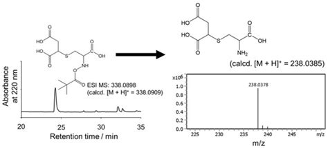 Rapid and Efficient Synthesis of Succinated Thiol Compounds via Maleic ...