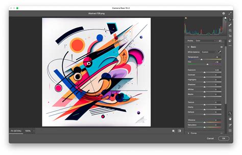 Image result for Corel Paint Tutorial Setin Up File Prefernces