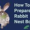 Image result for Rabbit in a Nest with Baby's Drawing