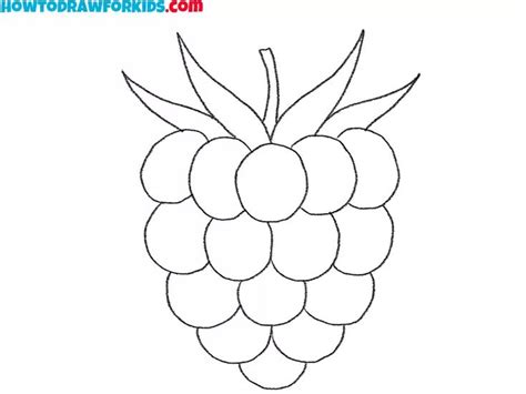 Image result for Raspberry Drawing Tutorial