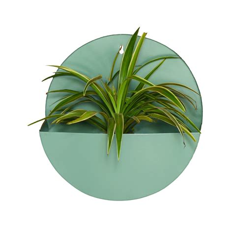 Hanging Metal Mounted Wall Planter or Letter Box