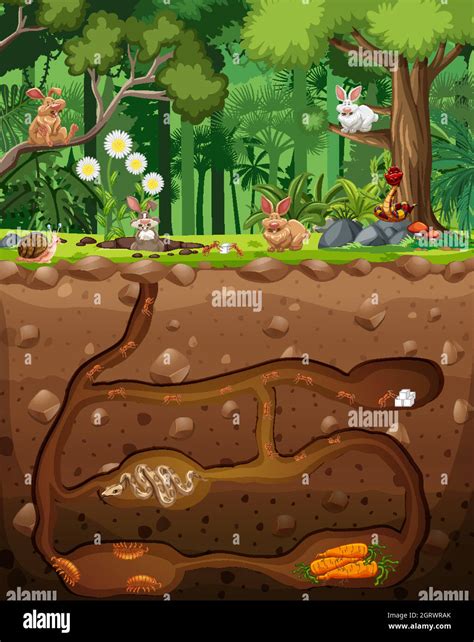 Burrowing Animals In The Ground