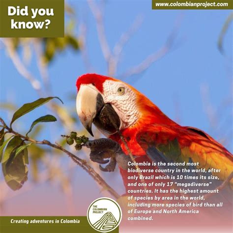 The Colombian Project on LinkedIn: Read some interesting facts about our beautiful country ...