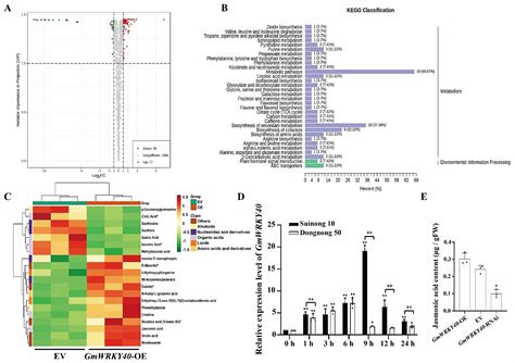 The WRKY Transcription Factor GmWRKY40 Enhances Soybean Resistance to ...