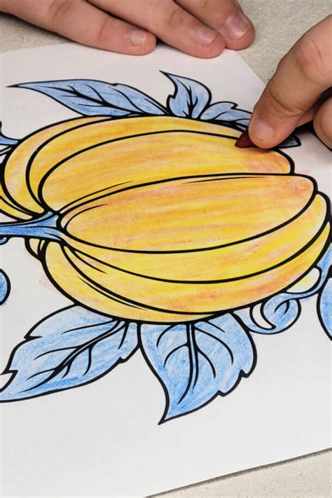 Image result for Complementary Colours Kids