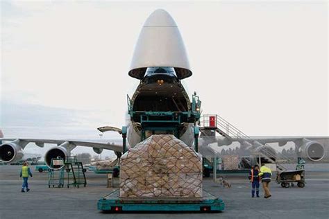 Freight Ex-logistics Plt