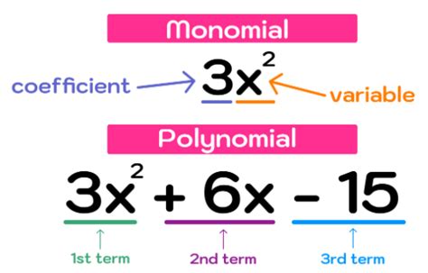 Polynomials Examples Math 的图像结果