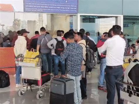 Honeymoon trips of 650 Bihar couples affected following IndiGo crisis ...