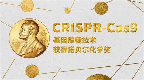 2020诺贝尔化学奖——CRISPR基因编辑及进阶应用（中文） - 知乎