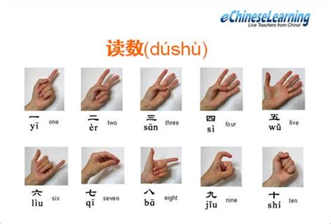 Image result for Chinese Sign Language Numbers