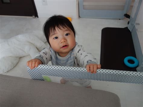 Are snake plants toxic to babies? | BabyCenter