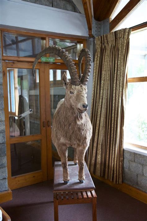 PTDC GUPIS MOTEL (Gilgit) - Lodge Reviews, Photos, Rate Comparison ...