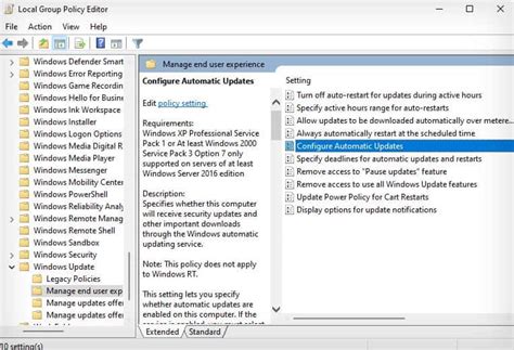 Image result for Auto Updates Settings