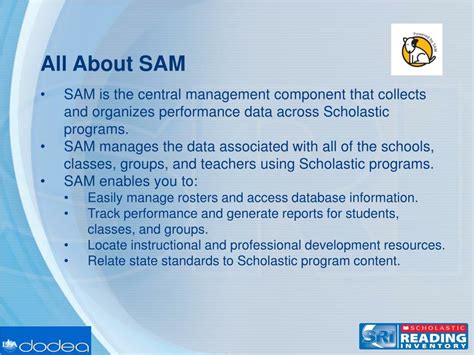 Sam Training 的图像结果