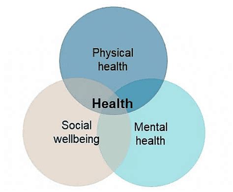 Class 7 Civics Chapter 2 Notes - Role of the Government in Health Free PDF