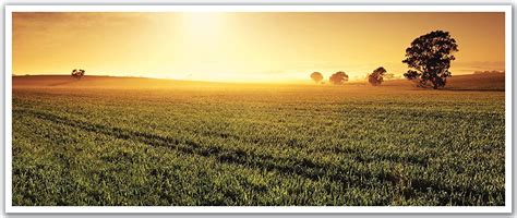 Country Landscape High Resolution 的图像结果