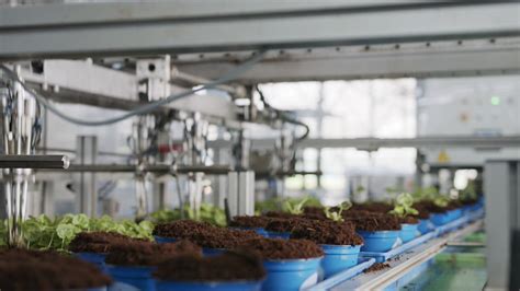 Image result for Automatic Planting Machine