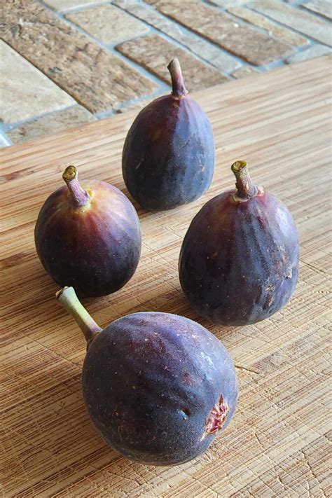 Types Of Figs Fruit
