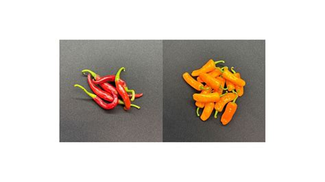 Sensient Natural Ingredients announced name change to Sensient ...