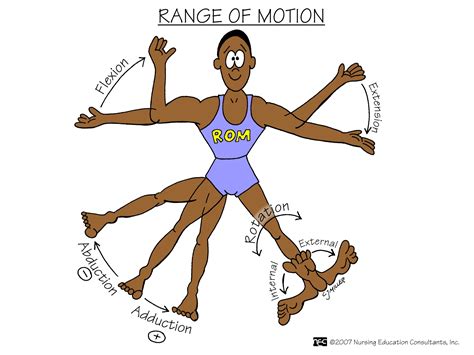 Range Of Motion Chart at Walter Lawrence blog