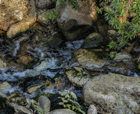 Babbling Brook Free Stock Photo - Public Domain Pictures