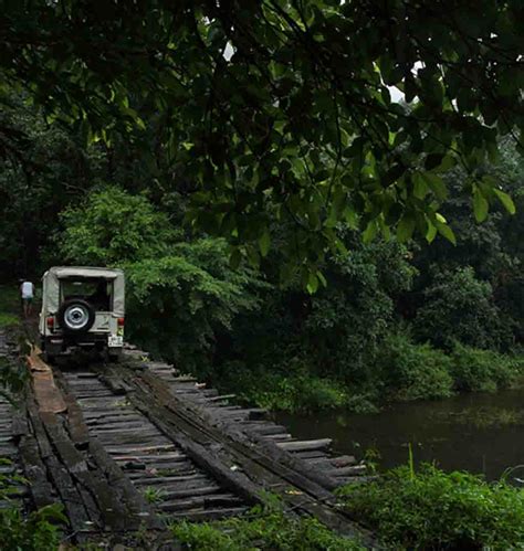 Gavi Pathanamthitta - Hi Pathanamthitta Tourist Places