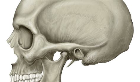 Excessive gaming dented this man's skull - The Jerusalem Post