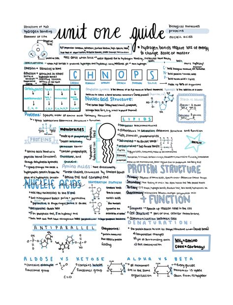 AP Biology Unit 1 Review Notes - Etsy