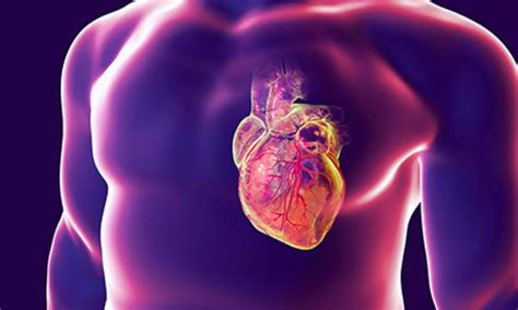 PET Imaging Reveals Risk Factors for Major Adverse Cardiac Events in ...