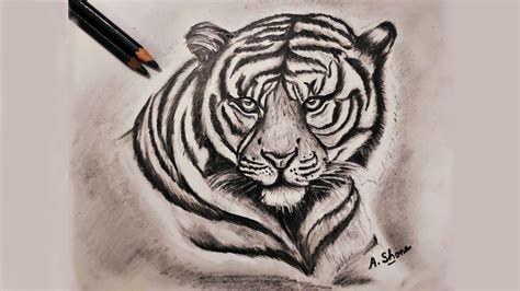 Image result for Tiger Drawing Easy
