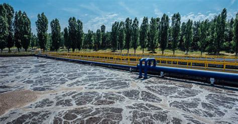 Researchers use AI algorithms to identify sustainable wastewater ...