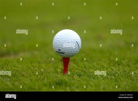 Golf Ball and Tee 的图像结果