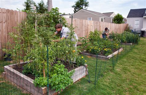 Full Sun Vegetable Garden Ideas | Bonnie Plants