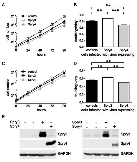 Cells | Special Issue : Fibroblast Growth Factor Receptor (FGFR ...