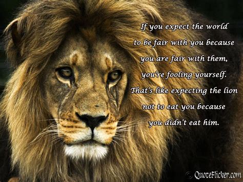 Lion Quotes Wallpapers - Wallpaper Cave