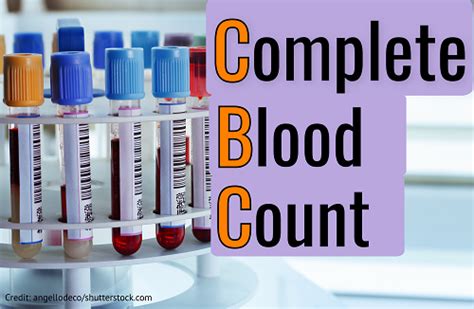 Image result for Normal Values of Blood Components