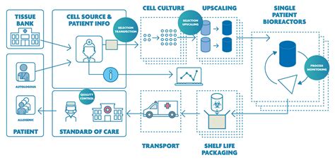 Cell Therapy Process 的图像结果