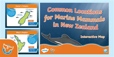 Common Locations for Marine Mammals in NZ Interactive Map