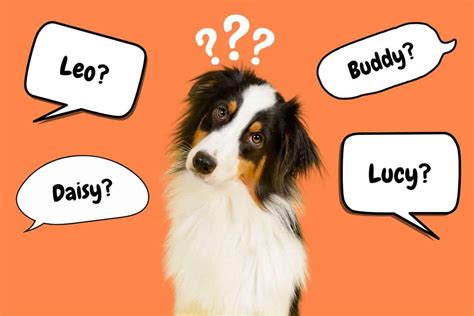 Image result for Most Common Dog Names