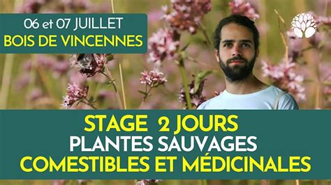 STAGE PLANTES SAUVAGES - 2 JOURS, 21 Av. Foch, Vincennes, 6 July to 7 ...