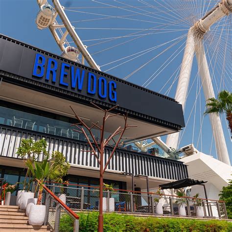 BREWDOG DUBAI (2026) All You Need to Know BEFORE You Go (with Photos ...