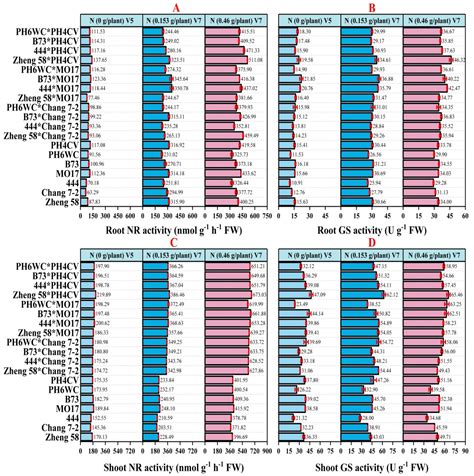 Multivariate Analysis of Root Architecture, Morpho-Physiological, and ...