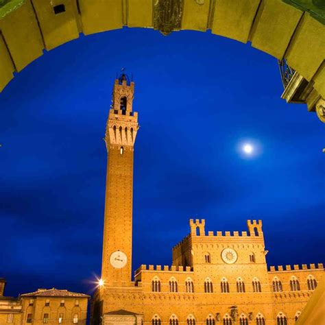 Image result for Python Siena