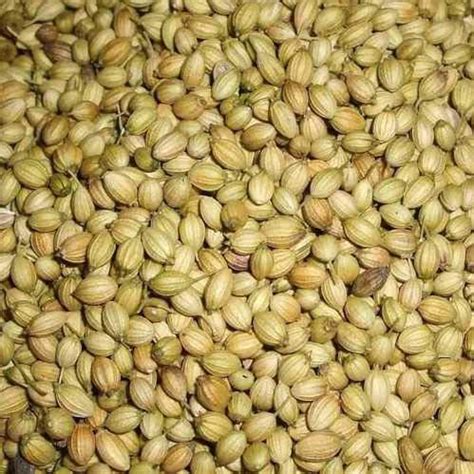 Zone Marketing Kotha Malli/Nattu Malli/Coriander Seeds Whole/Dhaniya ...