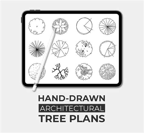 TreePlan 的图像结果