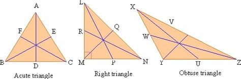 Does a median lies wholly in the interior of the triangle - Brainly.in