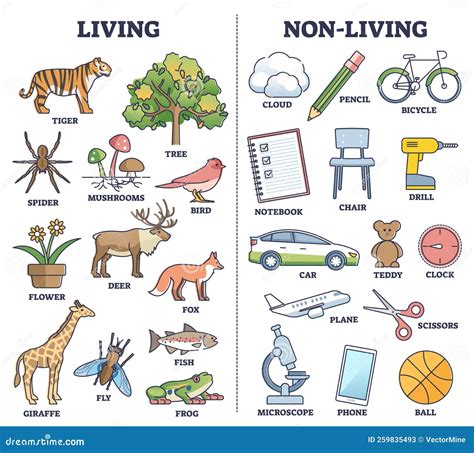 Living Vs Non Living Things Comparison for Kids Teaching Outline ...