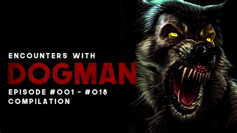 Dogman Narratives Continue! - YouTube